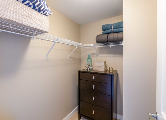plenty of closets in the closet in the master bedroom at The Acadia at Metropolitan Park, Arlington, Virginia